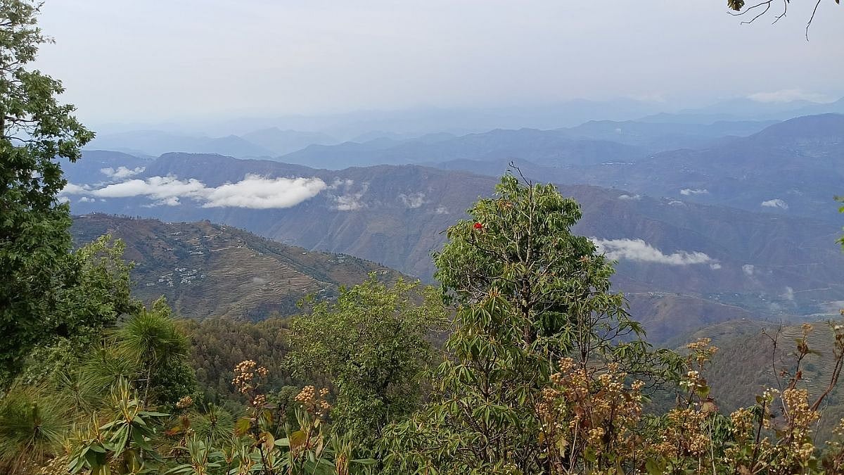 Karnataka Closes Trekking Routes In Wildlife Movement Areas After Leopard Kills A Boy Near MM Hills