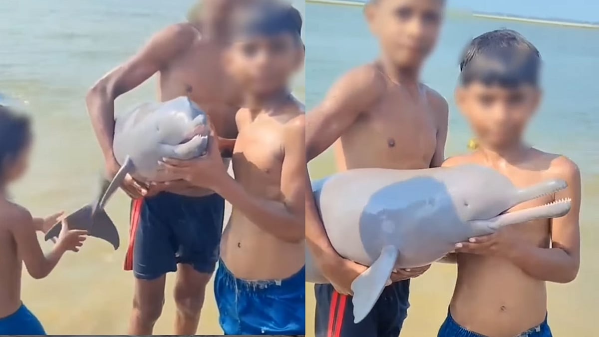 'Arre Idiots, Marr Jayega Wo': Children Seen Playing With Dolphin That Accidentally Hit River Bank In Bihar's Chhapra; Internet Angry