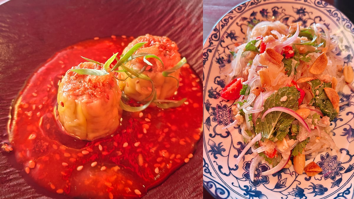 (Left) Dumplings and (right) Warm Glass Noodle Salad