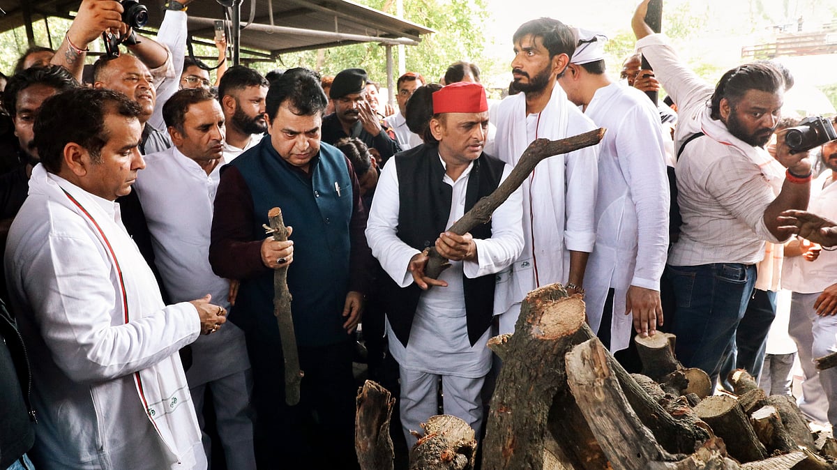 article-image