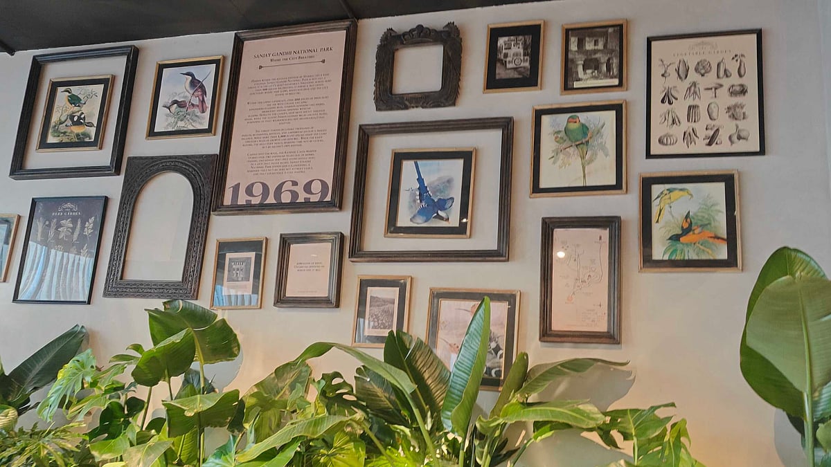 The interiors feature a tribute to Sanjay Gandhi National Park (SGNP) in Borivali