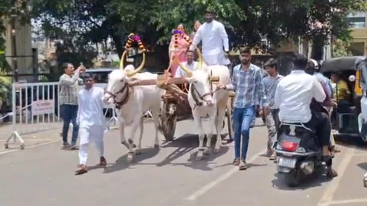 Pune: Pimpri-Chinchwad NCP Leaders Stage Bullock-Cart Protest Outside PCMC Over PM Narendra Modi’s Comments | WATCH VIDEO