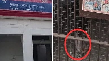 Rooster Finds ‘Coolest Spot’ Inside Police Lockup Amid Heatwave In Chhatarpur; SDOP Says Bird Walked In During Cleaning-- VIDEO