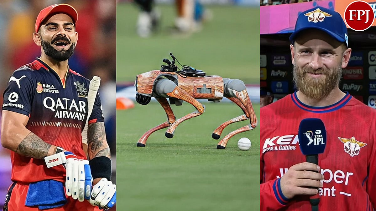 'Why Is This Guy Doing This?': Virat Kohli Reveals Robot Dog Champak's Hilarious Moment Involving Kane Williamson During IPL 2026 | Video