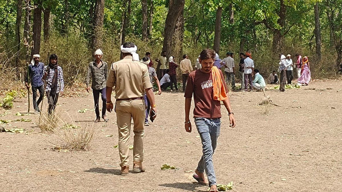 Tiger Kills 28-Year-Old Woman In Bandhavgarh Tiger Reserve