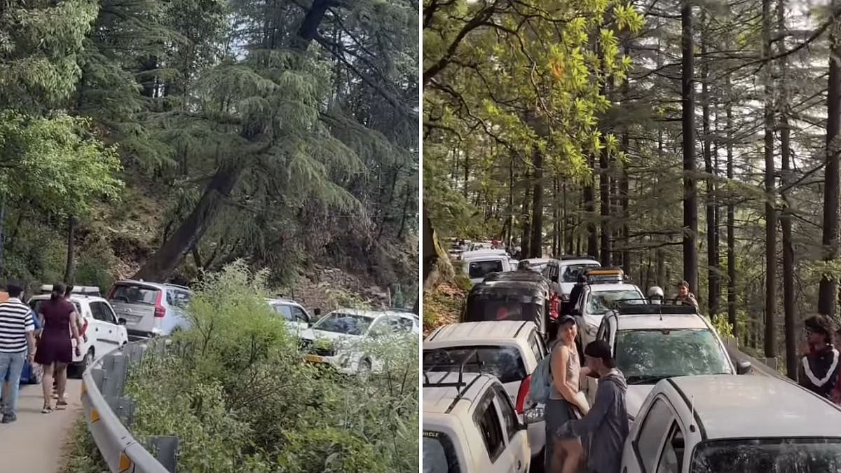 'Koyi Reh Toh Nahi Gaya?': Viral Video Shows Heavy Traffic In Dharamshala Ahead Of PBKS Vs RCB Clash In IPL 2026