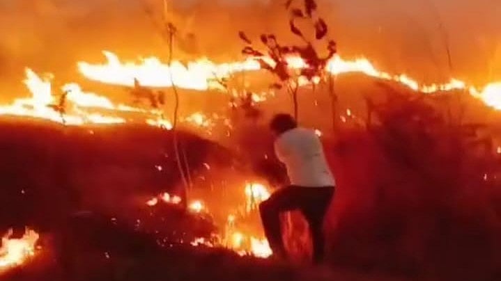 Nashik: Sixth Fire Outbreak In A Month On Dari Aai Hill; Environmentalists Battle Flames For 5 Hours