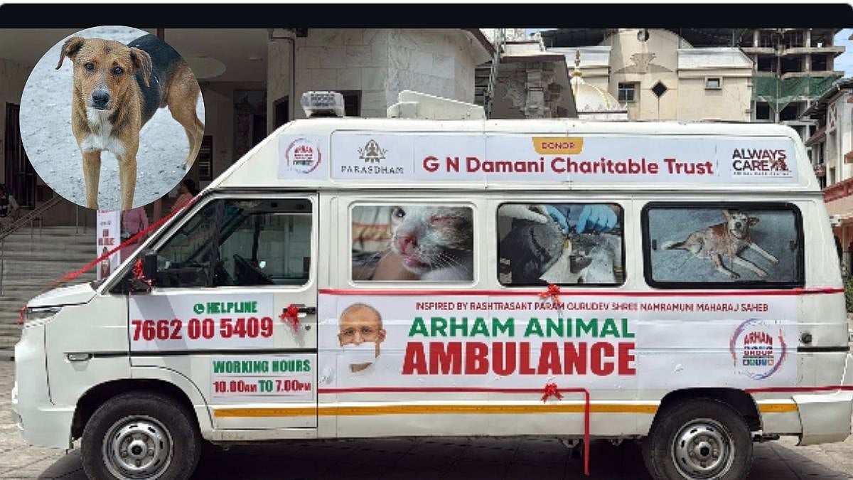 Animal Ambulance Launched In Vasai To Provide Medical Aid For Injured Stray Animals