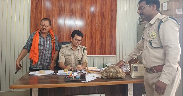 Rare Indian Star Tortoise Found In Farmer’s Field In Panna, Rescued By Forest Team