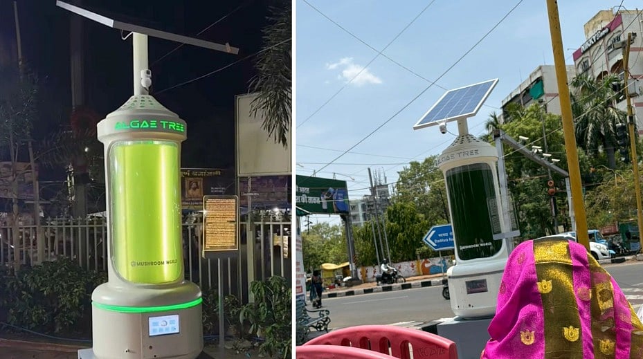 India’s First Solar-Powered ‘Algae Trees’ Installed In Bhopal; Here's How The Technology Cleans Air-- VIDEO