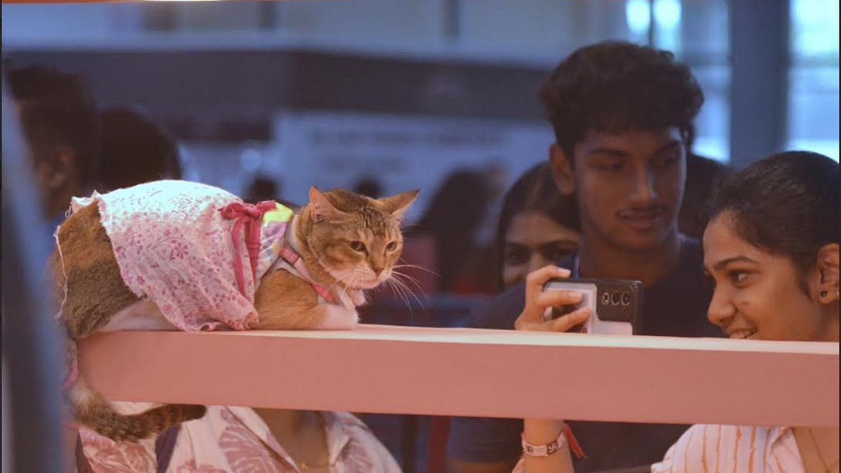 Cats pose with their owners during the Feline Club of India Cat Expo
and Competition 2026 in Vashi on Sunday