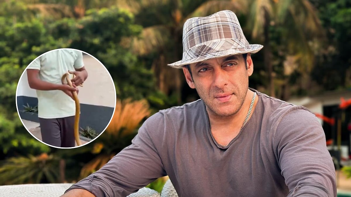 5-Foot Snake Found At Salman Khan's Galaxy Apartments In Mumbai; Video Of Rescue Operation Surfaces 
