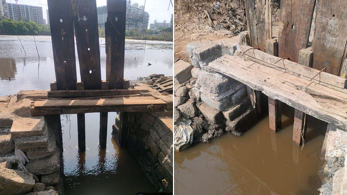 Navi Mumbai: Forest Department Restores Tidal Flow At Nerul’s NRI Wetland To Improve Flamingo Habitat