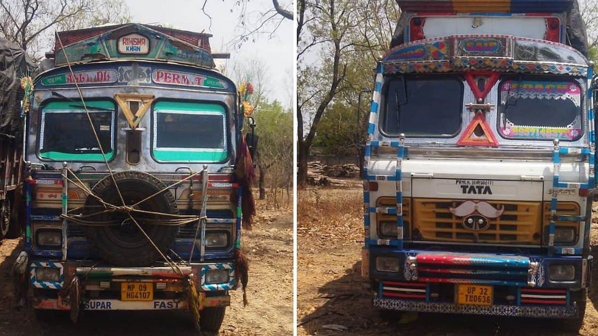 Special Enforcement Team Seized Two Trucks Carrying Illegal Timber In City