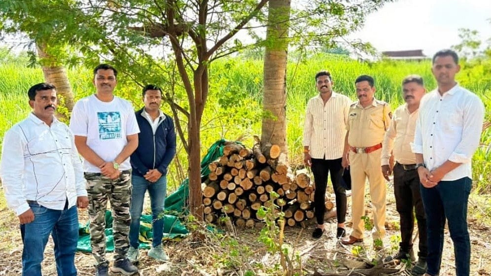 Pune ATS Seizes 560 KG Sandalwood Worth ₹28 Lakh In Purandar Raid; Notorious Accused Booked