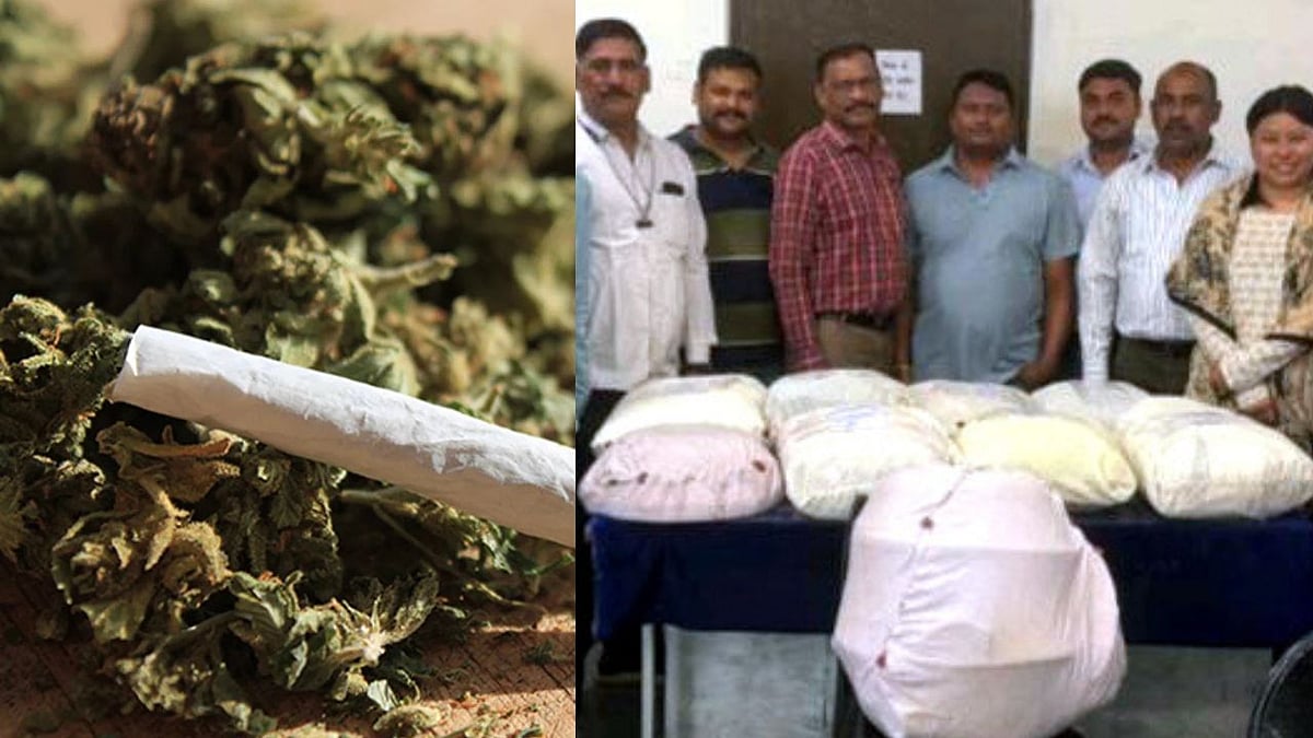 Interstate Gang Of Marijuana Smugglers Busted; 5 Women Among 7 Held In Bhopal