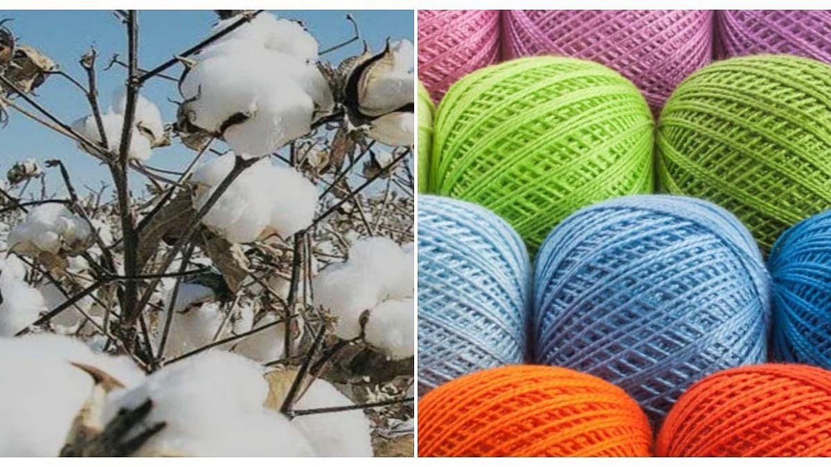 India’s Cotton Productivity Mission: Sovereignty Or Chimaera?