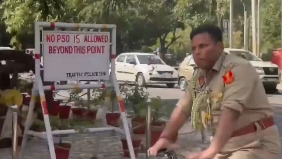 'Could Have Just Crossed The Road': Tehseen Poonawalla Mocks Punjab Governor's Aide's Bicycle Ride On No Car Day | Video