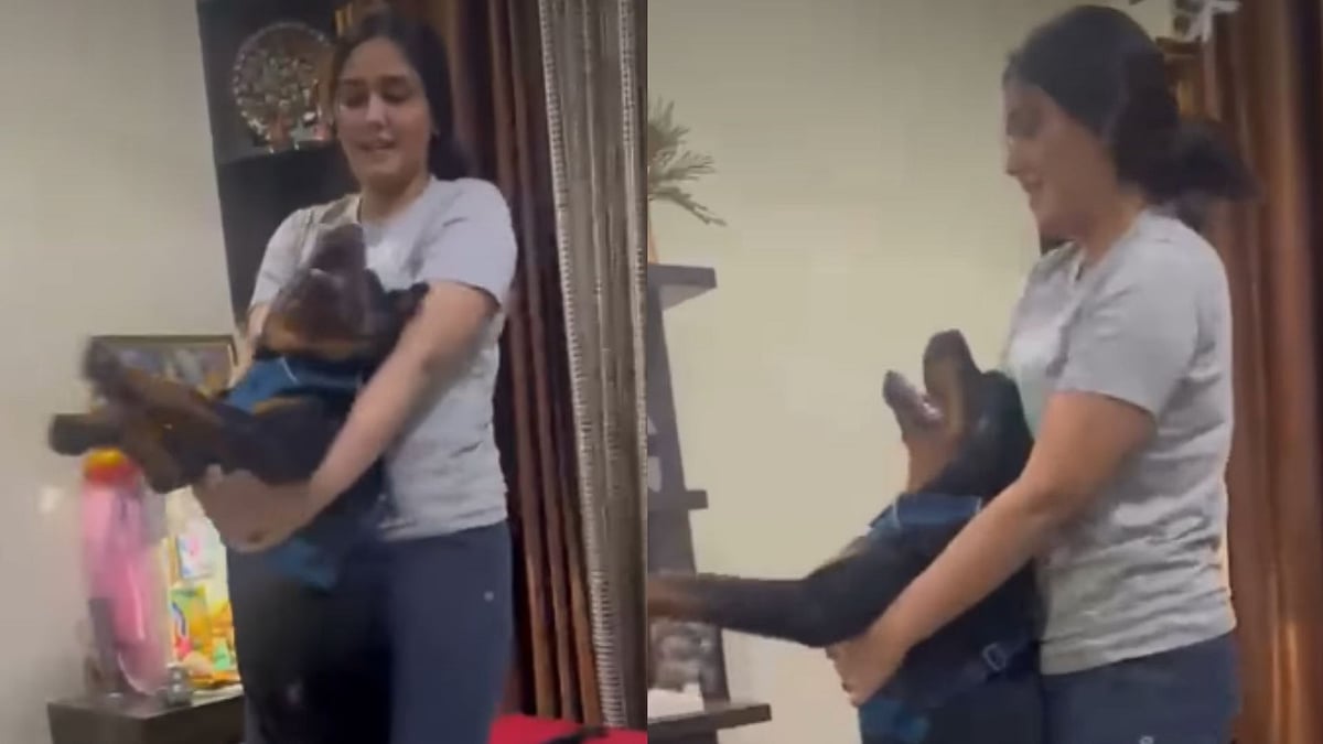 'God, She Looked So Happy': New Video Of Twisha Sharma Sharing Playful Moment With Pet Rottweiler Surfaces - WATCH 