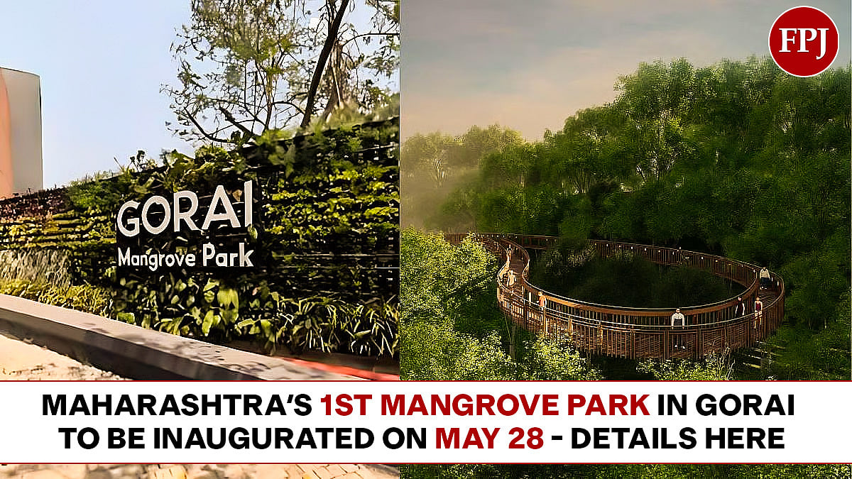 Good News Mumbaikars! Maharashtra's 1st Mangrove Park In Gorai To Be Inaugurated On May 28 - Details...