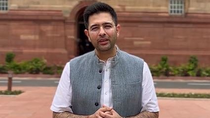 'Political Criticism Cannot Be Curbed': Court On Raghav Chadha’s Personality Rights Plea