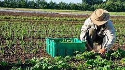 MP Delegation To Study Organic Farming Practices In Dantewada