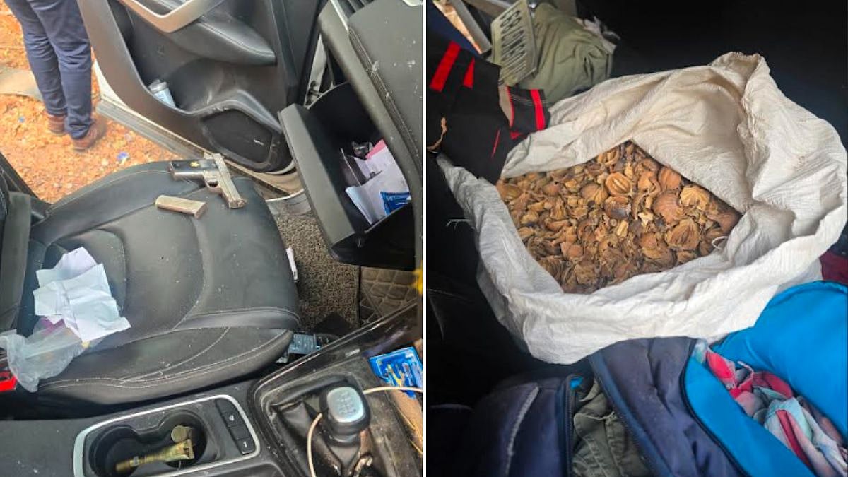 Navi Mumbai: High-Speed Crash On Palm Beach Road Leads To Seizure Of 70 Kg Opium Poppy, Pistol From SUV