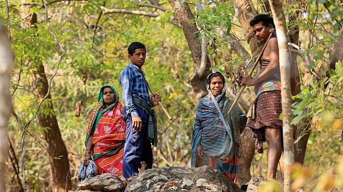 IT Benami Unit Uncovers Systematic Tribal Land Law Violations In Madhya Pradesh