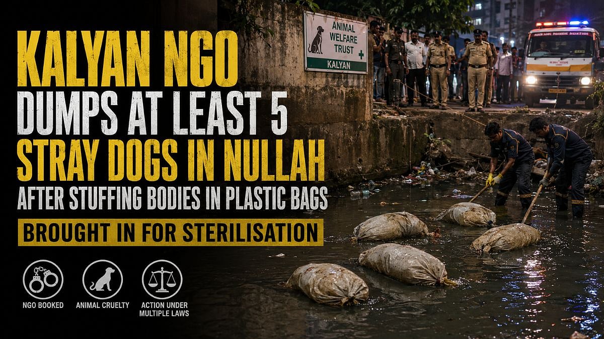 Kalyan NGO Dumps At Least 5 Stray Dogs In Nullah After Stuffing Bodies In Plastic Bags Following Sterilisation Drive