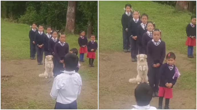 'Aww, So Adorable': Stray Dog Joins School Assembly In Sikkim; Wins Hearts Online With Adorable 'Prayer Pose'