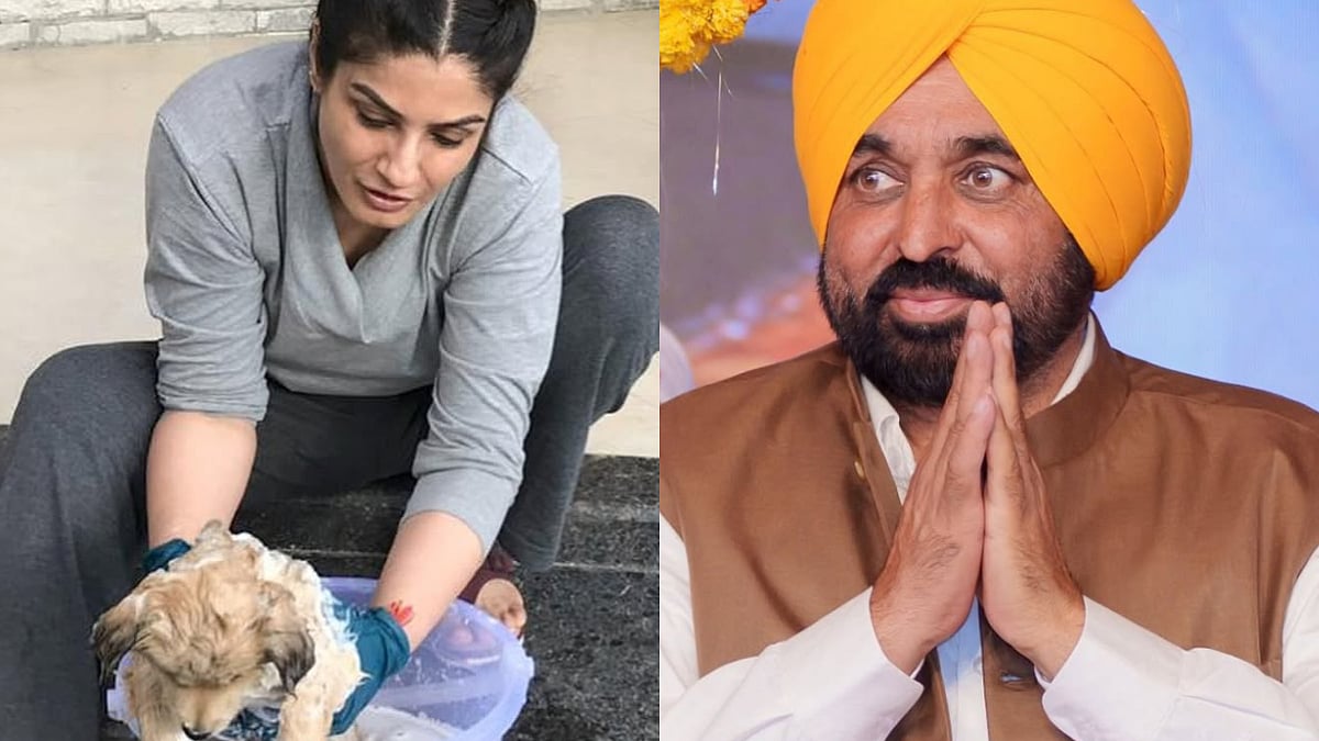 'Remain Humane And Balanced...': Raveena Tandon Reacts To Punjab CM Bhagwant Mann's 'Eliminate Stray Dogs' Campaign