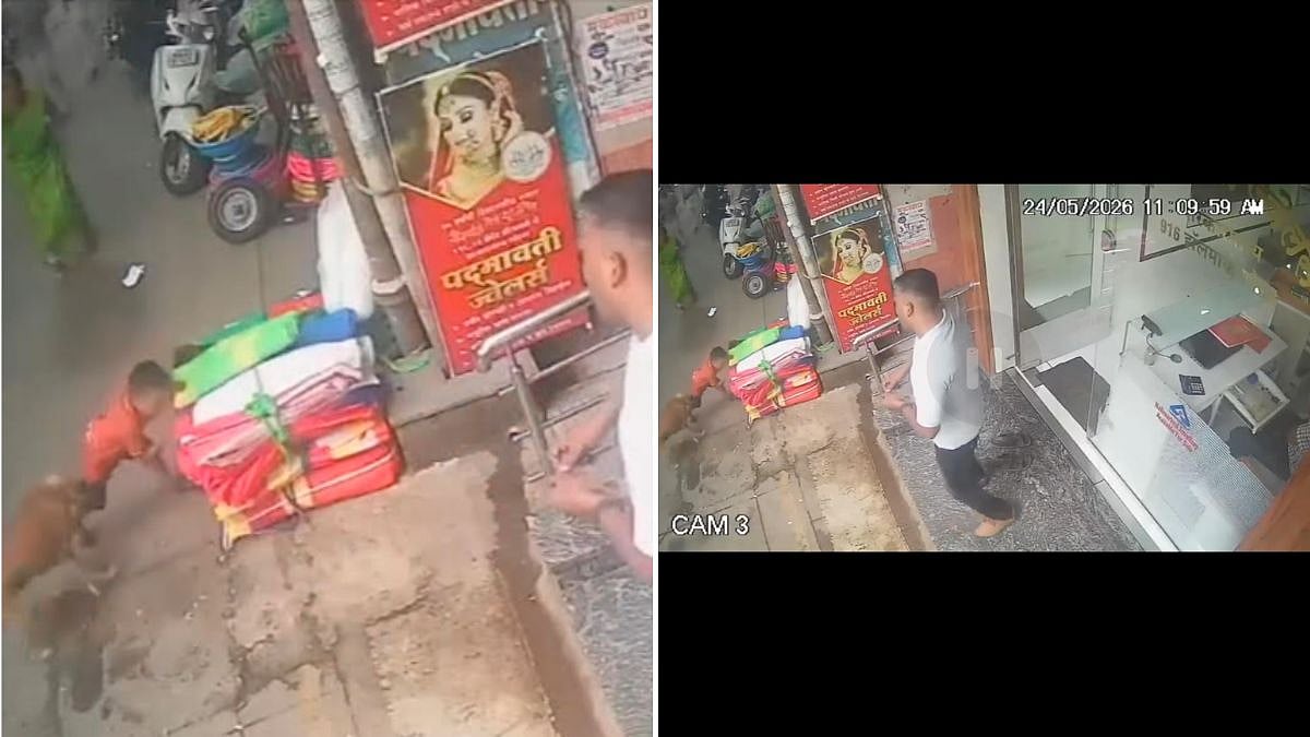 Rabid Stray Dog Attacks Several Pedestrians Including 6-Year-Old Boy In Karjat's Mahavir Peth Area, Triggers Panic