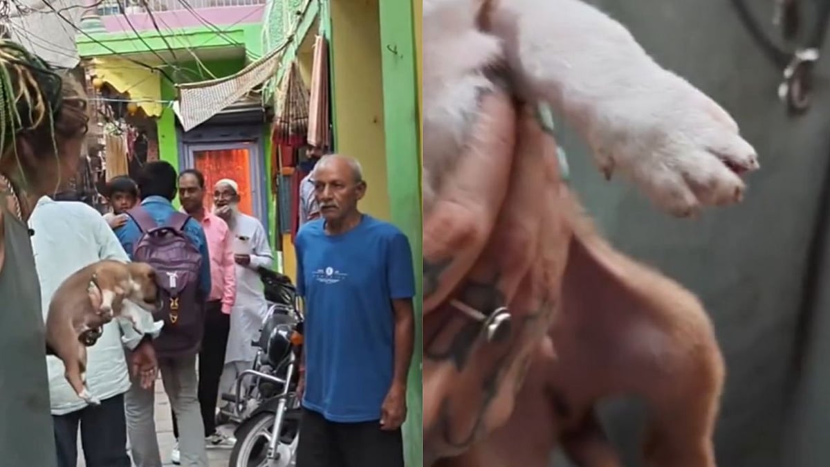 'Why Are You Laughing?': Agitated Russian Vlogger Hurls Abuses At Man, Spits On Him In Varanasi Over Injured Puppy | VIDEO