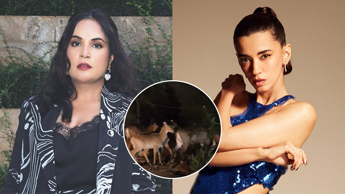 'Horrible, Paap Lagega Sabko': Richa Chadha, Saba Azad Slam Dwarka Forest Cutting After Nilgai Seen On City Roads In Viral Video 