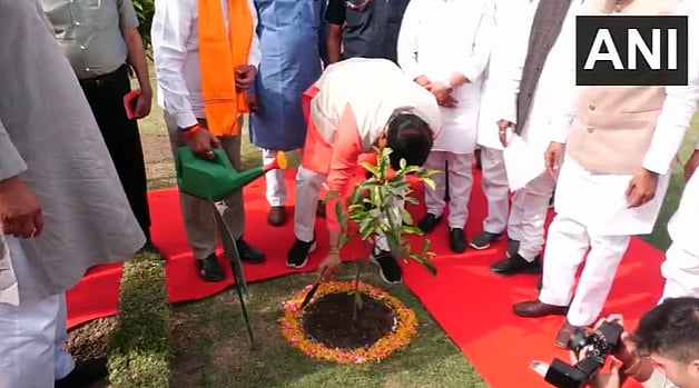 MP CM Mohan Yadav Plants Sapling At NTPC Singrauli Campus; Highlights Development, Green Initiatives -- VIDEO