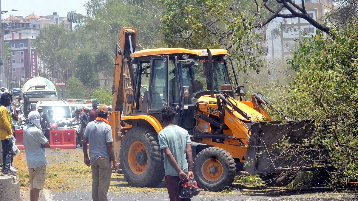 Traffic Chaos On Ayodhya Bypass Amid Massive Tree-Felling Drive In Bhopal
