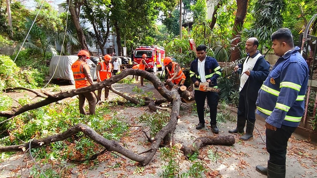 Auto Rickshaw Damaged As Tree Collapses In Thane’s Waghbile Area; No Casualties Reported