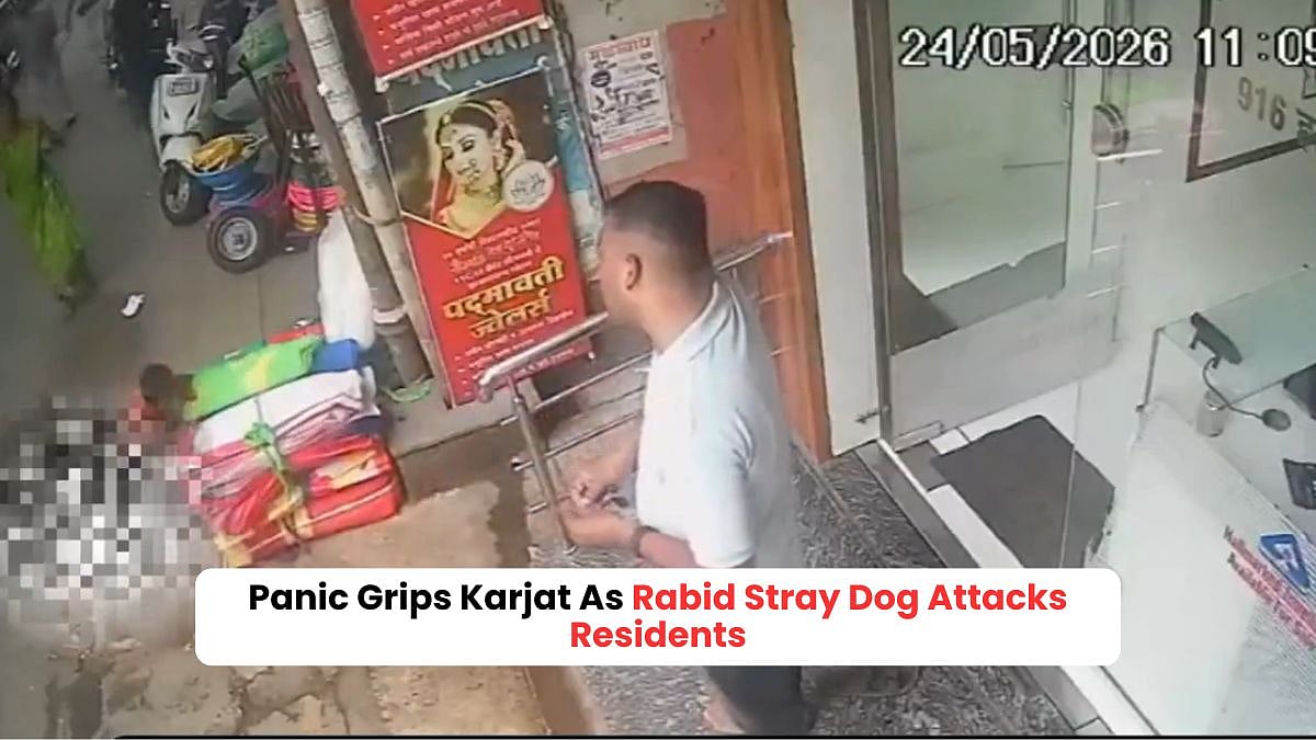 Panic Grips Karjat As Rabid Stray Dog Attacks Residents In Mahavir Peth; Visuals Show Child Being Attacked
