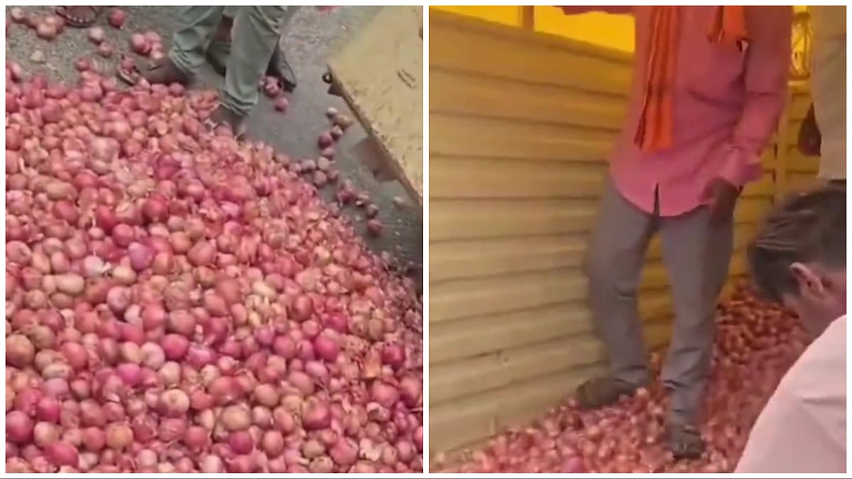 Maharashtra Farmers Throw Onions On Road To Protest Low Prices | WATCH