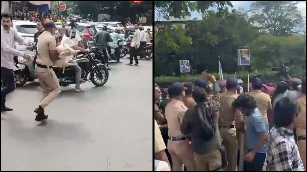 Thane Clash: Ahead Of Bakri Eid, Situation Turns Tense In Mira Road As Protestors Land With Pigs To Bar Goat Sacrifice - VIRAL VIDEO