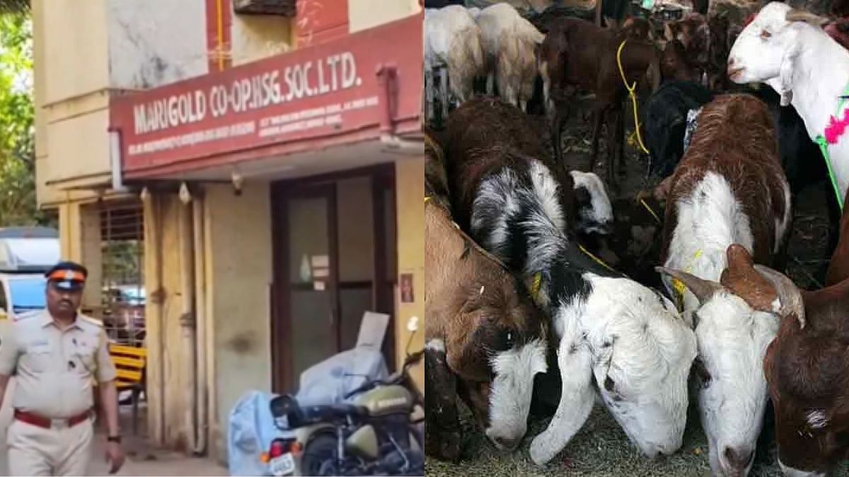 Mumbai: Amid Mira Road Row, Heavy Police Deployment Seen In Goregaon Society Over Bakri Eid Qurbani Shed Dispute - VIDEO