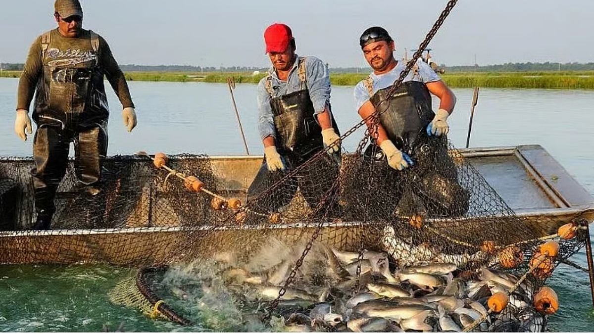 Mumbai Fishermen Group Demands Strict Action, Including 'Culpable Homicide' Cases, Against Illegal Monsoon Fishing