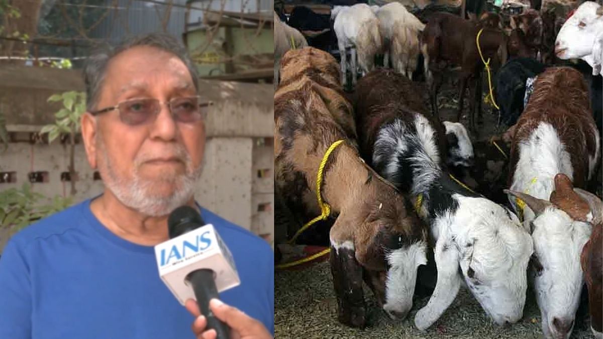 'What Is Your Problem? Let It Happen...': Congress leader Husain Dalwai Opposes Demand To Ban Bakri Eid Qurbani In Mumbai Housing Societies - VIDEO