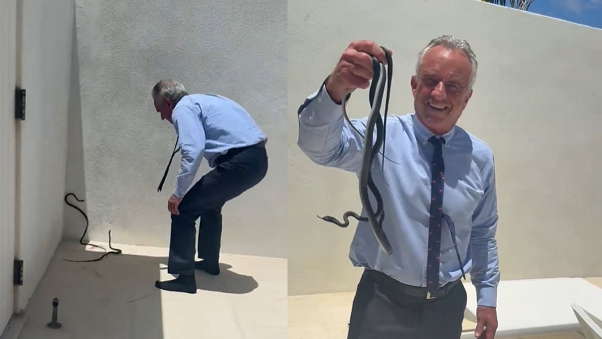 RFK Jr Handles Two Black Racer Snakes Barehanded While Wife Asks To Let Them Go; Watch Viral Video