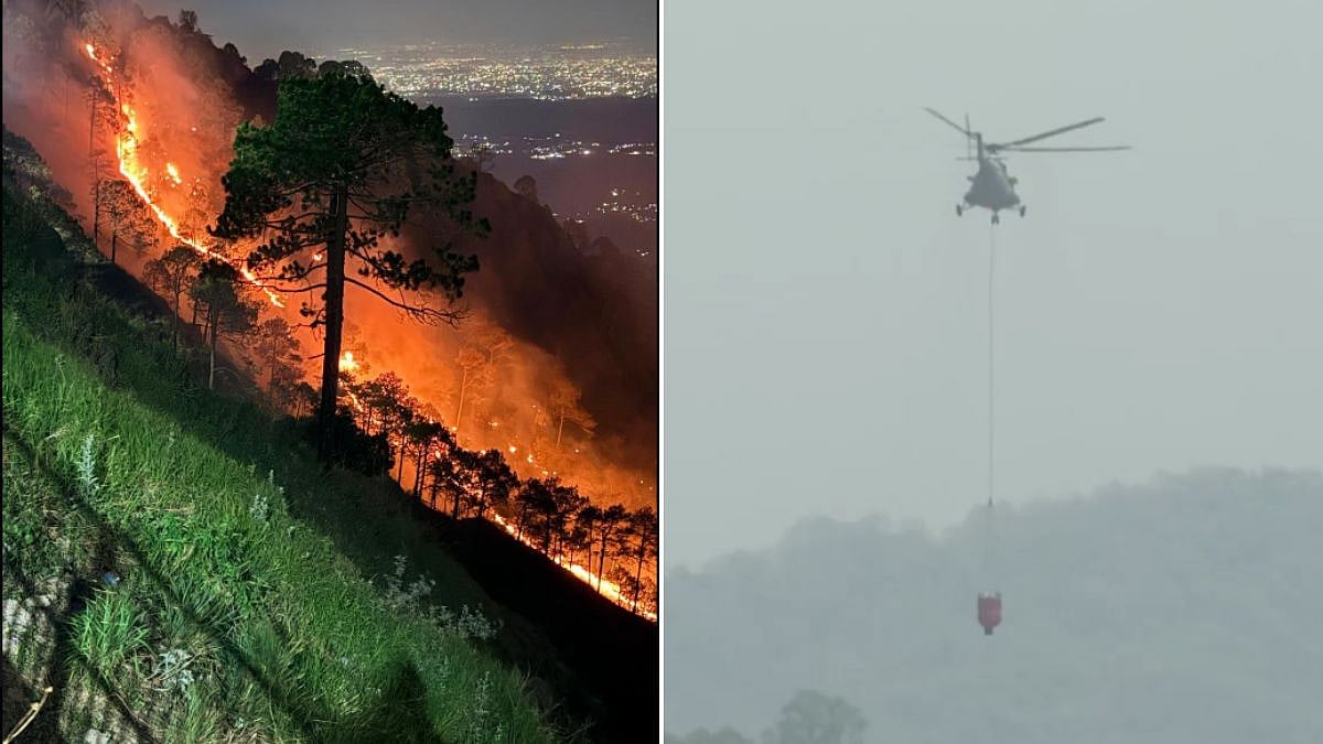 Himachal Ablaze: Major Forest Fire Erupts In Solan District; Flames Spread Rapidly Across Hilly Terrain | Video