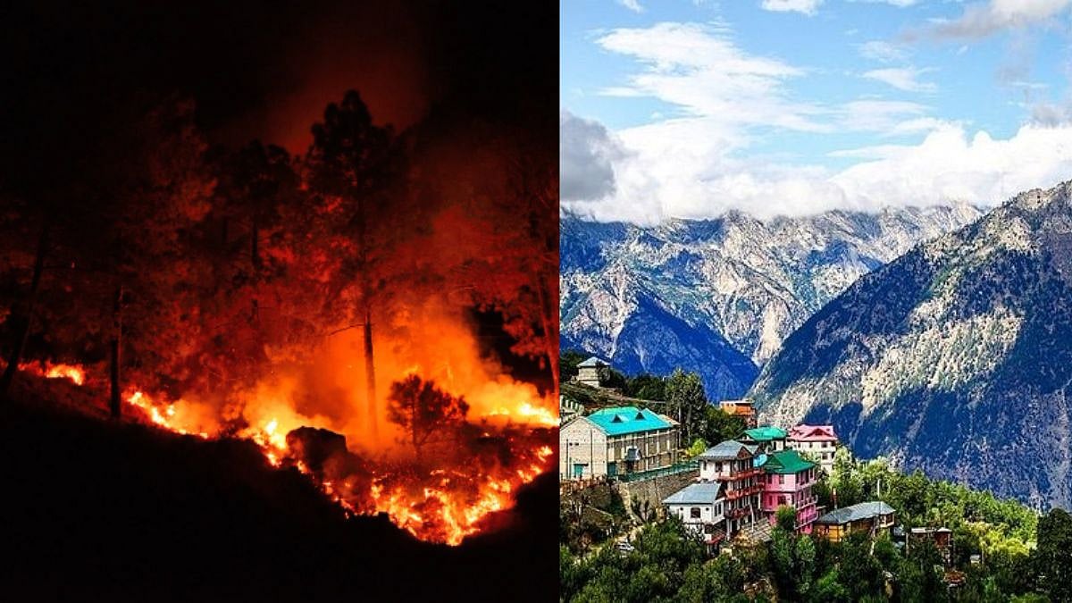 Smoke In Paradise: Kasauli Forest Fire Impacts Hill Tourism; What Travellers Should Keep In Mind