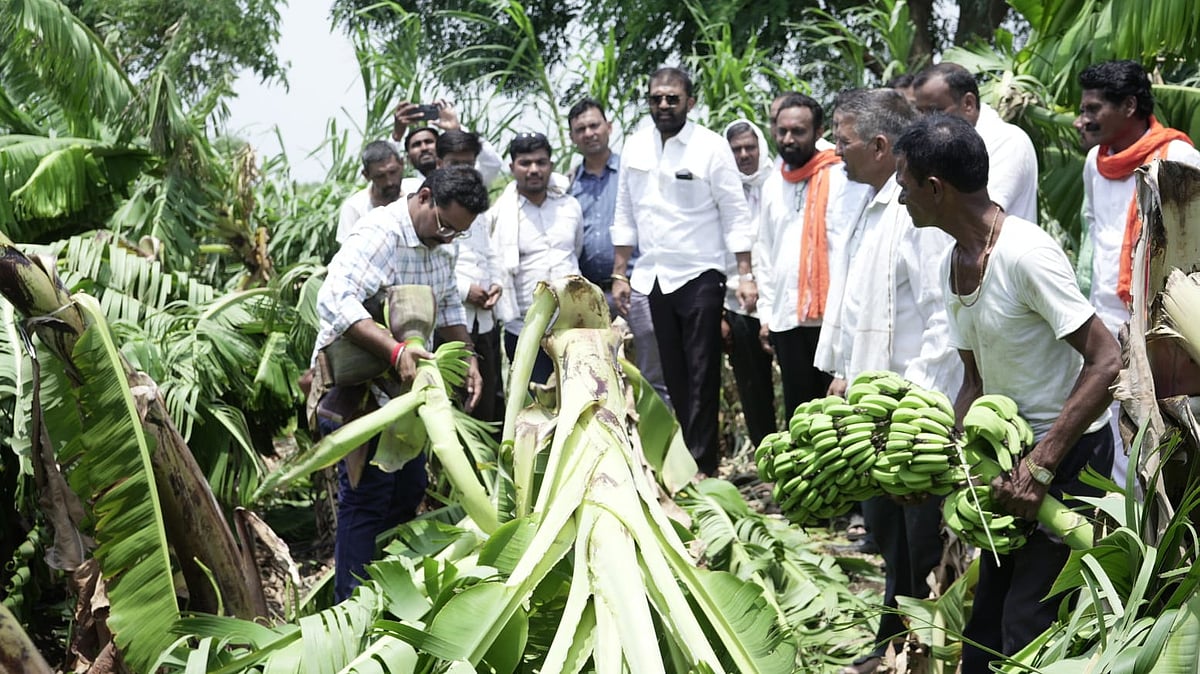Storm & Heavy Rain Damage Crops In Parbhani Villages; MLA Rahul Patil Inspects Affected Areas
