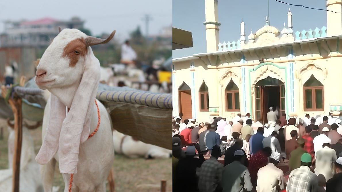 Devotees Offer Special Eid al-Adha Namaz At Jammu’s Tawi Masjid; Here's To Know Everything 