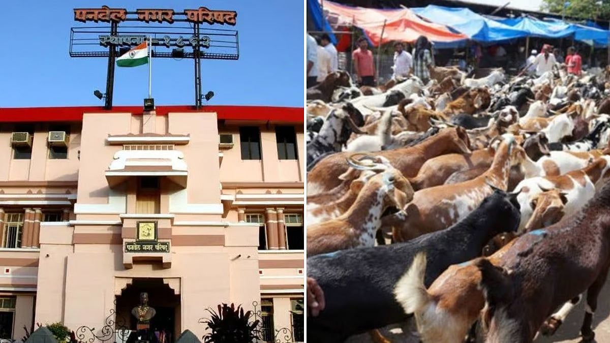 Panvel Civic Body Ready For Bakri Eid With Strict Hygiene, Slaughter Norms And Waste Disposal Plans