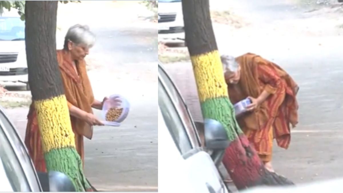 Twisha Sharma Death Case: Mother-in-Law Giribala Singh Spotted Feeding Stray Dogs Outside Bhopal Home